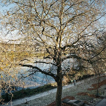 The Rhuys - Cosy-Balcony With Superb Loire View - All On Foot - Parking Lejlighed Nantes Eksteriør billede